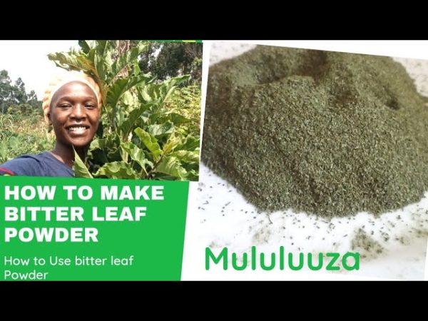 BITTER LEAF MULULUUZA POWDER 15